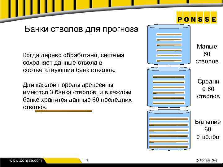 Банки стволов для прогноза Когда дерево обработано, система сохраняет данные ствола в соответствующий банк
