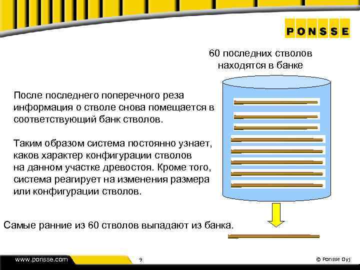 60 последних стволов находятся в банке После последнего поперечного реза информация о стволе снова