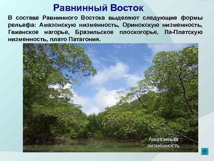 Равнинный Восток В составе Равнинного Востока выделяют следующие формы рельефа: Амазонскую низменность, Оринокскую низменность,