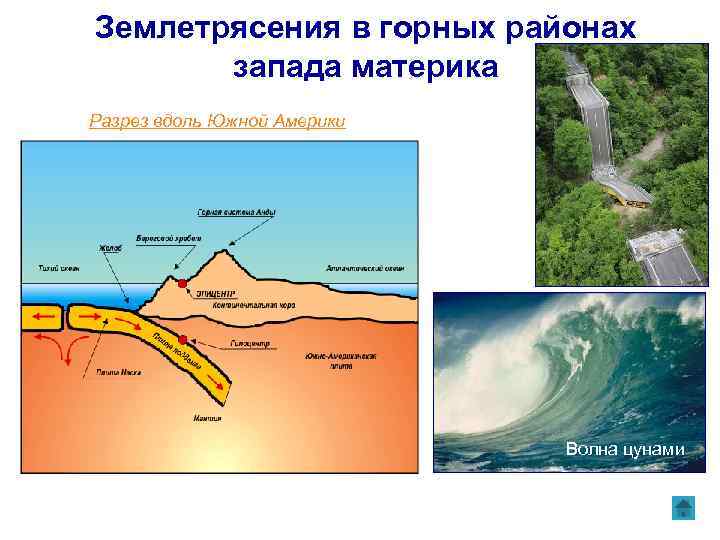 Землетрясения в горных районах запада материка Разрез вдоль Южной Америки Волна цунами 