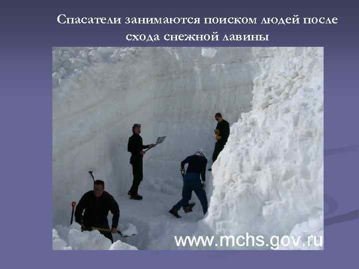 Спасатели занимаются поиском людей после схода снежной лавины 