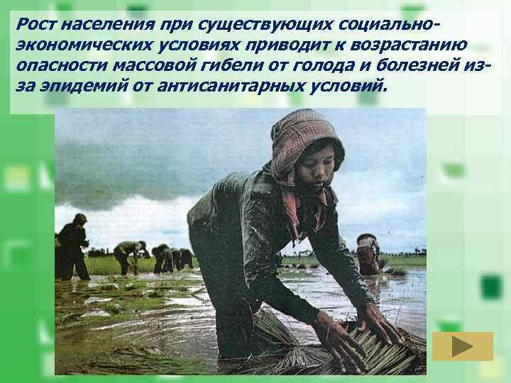 Рост населения при существующих социальноэкономических условиях приводит к возрастанию опасности массовой гибели от голода