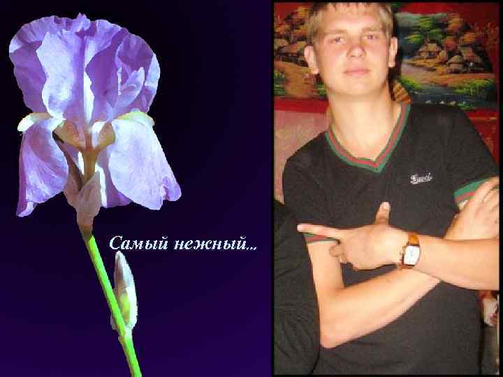 Самый нежный… 