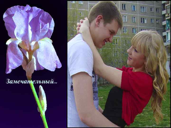 Замечательный… 