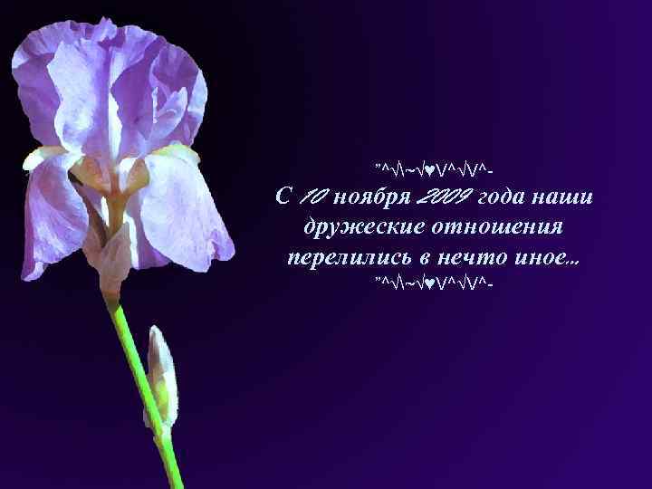 ”^√~√♥V^√V^- С 10 ноября 2009 года наши дружеские отношения перелились в нечто иное… ”^√~√♥V^√V^-