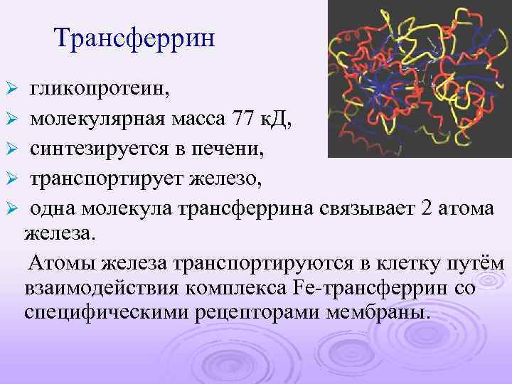 Трансферрин гликопротеин, Ø молекулярная масса 77 к. Д, Ø синтезируется в печени, Ø транспортирует