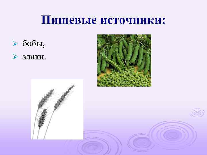 Пищевые источники: бобы, Ø злаки. Ø 