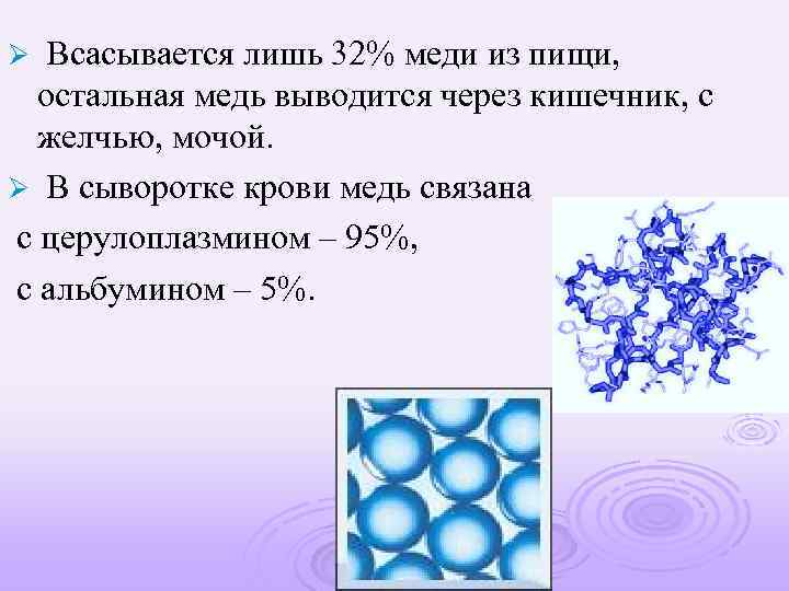 Всасывается лишь 32% меди из пищи, остальная медь выводится через кишечник, с желчью, мочой.