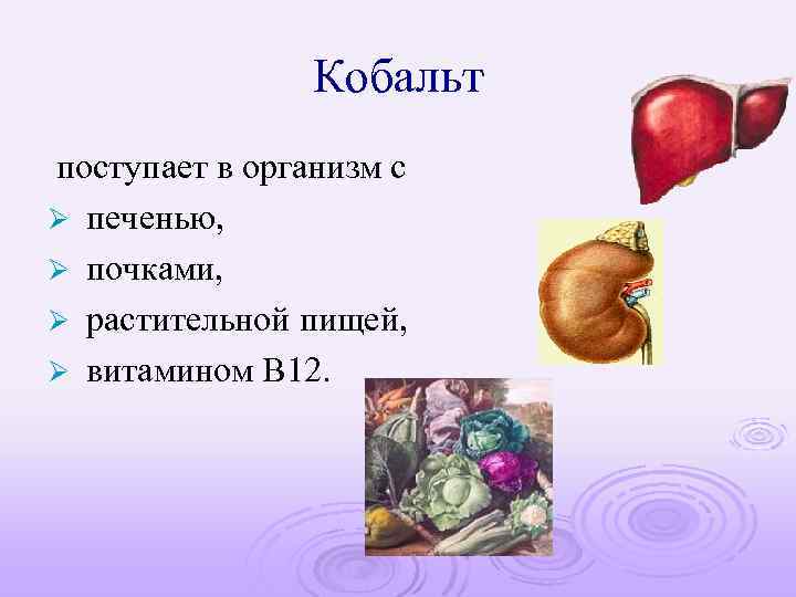 Кобальт поступает в организм с Ø печенью, Ø почками, Ø растительной пищей, Ø витамином
