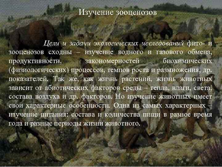 Изучение зооценозов Цели и задачи экологических исследований фито- и зооценозов сходны – изучение водного