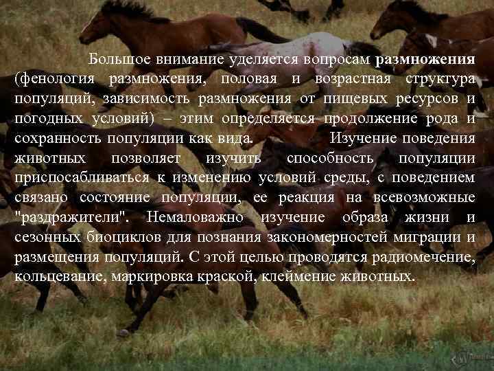 Большое внимание уделяется вопросам размножения (фенология размножения, половая и возрастная структура популяций, зависимость размножения
