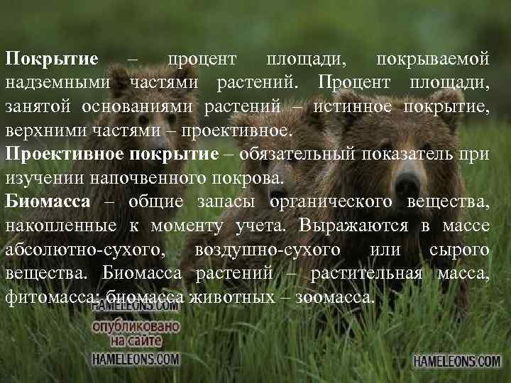 Покрытие – процент площади, покрываемой надземными частями растений. Процент площади, занятой основаниями растений –