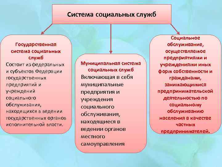 Система социальных служб Государственная система социальных служб Состоит из федеральных и субъектов Федерации государственных