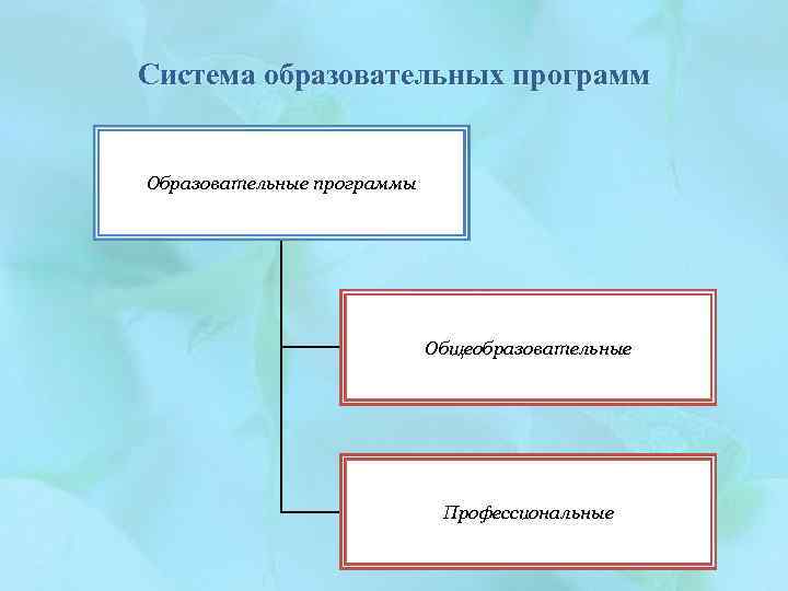 Система образовательных программ Образовательные программы Общеобразовательные Профессиональные 