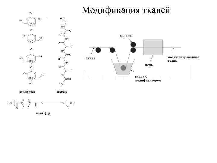 Модификация тканей 
