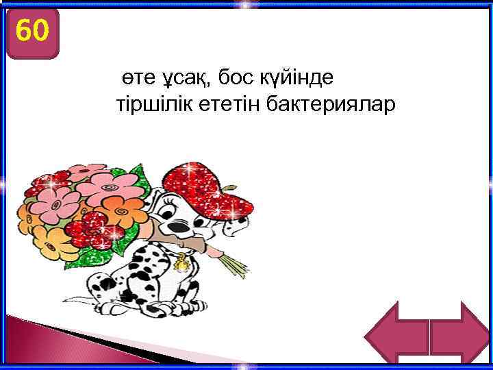 60 өте ұсақ, бос күйінде тіршілік ететін бактериялар 