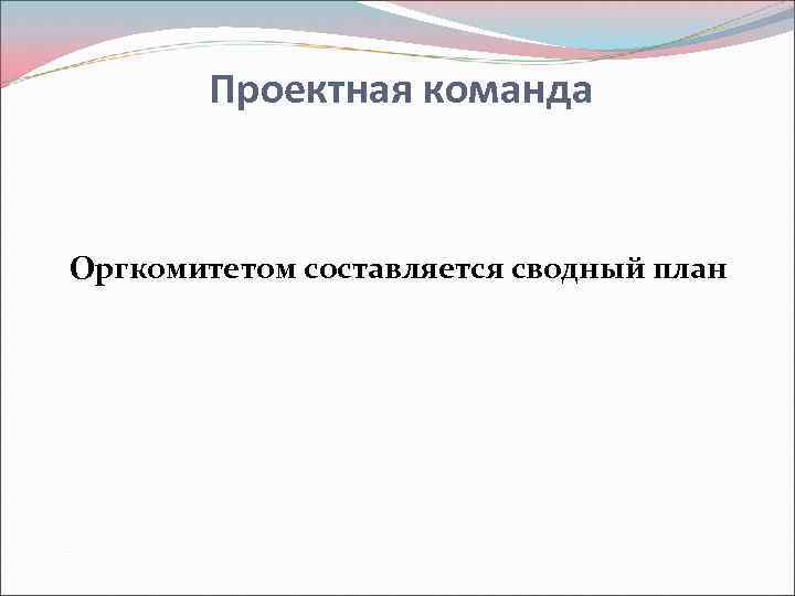 Проектная команда Оргкомитетом составляется сводный план 