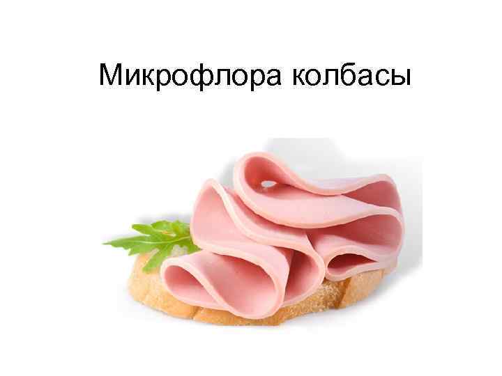 Микрофлора колбасы 