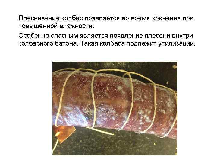 Плесневение колбас появляется во время хранения при повышенной влажности. Особенно опасным является появление плесени