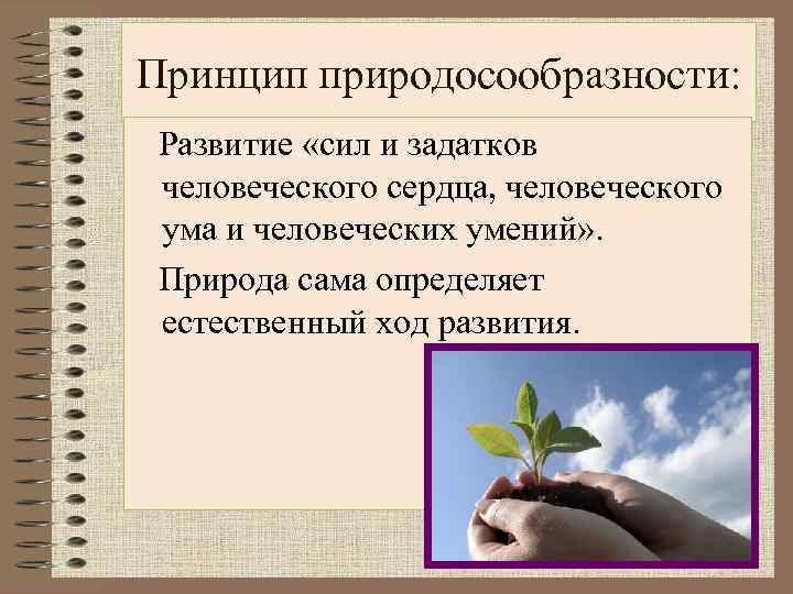 Принцип природосообразности: Развитие «сил и задатков человеческого сердца, человеческого ума и человеческих умений» .