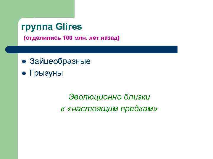 группа Glires (отделились 100 млн. лет назад) l l Зайцеобразные Грызуны Эволюционно близки к