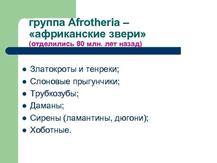 группа Afrotheria – «африканские звери» (отделились 80 млн. лет назад) l l l Златокроты