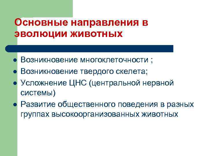 Основные направления в эволюции животных l l Возникновение многоклеточности ; Возникновение твердого скелета; Усложнение