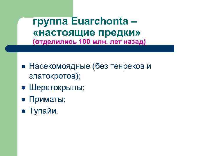 группа Euarchonta – «настоящие предки» (отделились 100 млн. лет назад) l l Насекомоядные (без