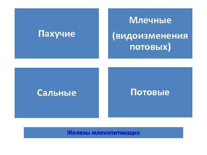 Пахучие Млечные (видоизменения потовых) Сальные Потовые Железы млекопитающих 