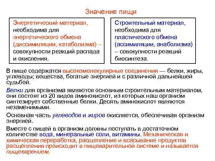 Значение пищи Энергетический материал, необходима для энергетического обмена (диссимиляции, катаболизма) – совокупности реакций распада