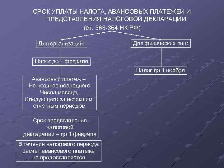 Презентация региональные и местные налоги