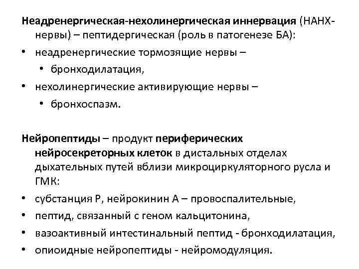 Неадренергическая-нехолинергическая иннервация (НАНХнервы) – пептидергическая (роль в патогенезе БА): • неадренергические тормозящие нервы –