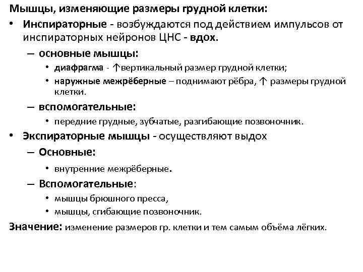 Мышцы, изменяющие размеры грудной клетки: • Инспираторные - возбуждаются под действием импульсов от инспираторных