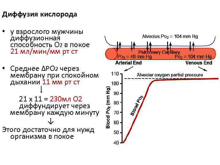 Для всех проектов характерна способность к диффузии