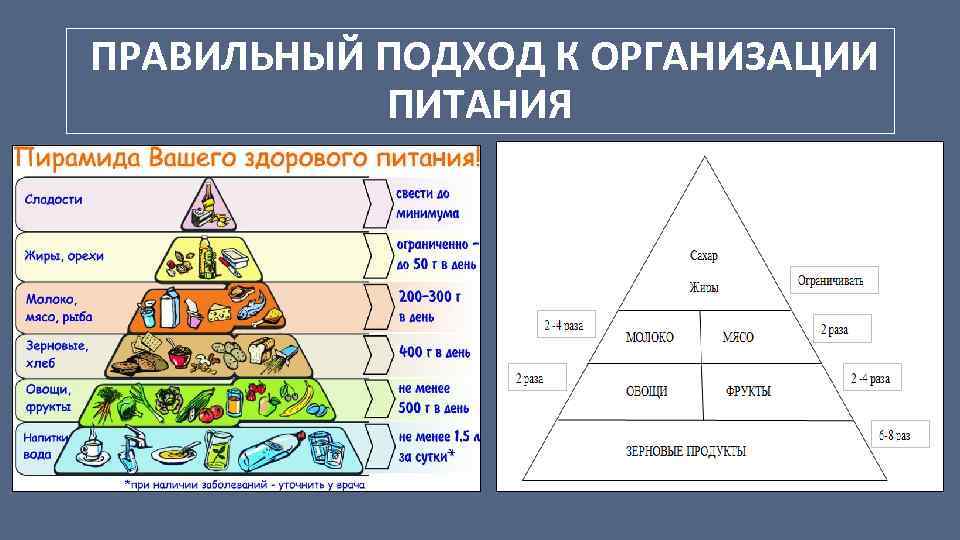 ПРАВИЛЬНЫЙ ПОДХОД К ОРГАНИЗАЦИИ ПИТАНИЯ 
