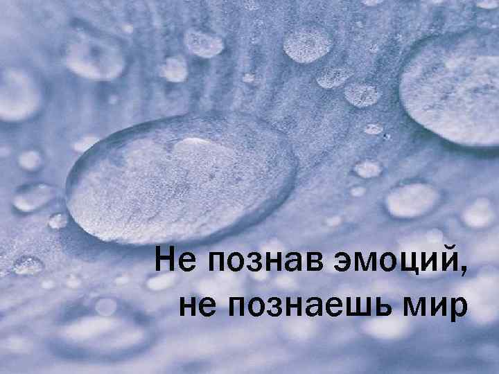 Не познав эмоций, не познаешь мир 