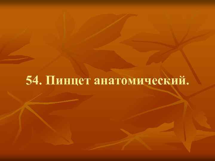 54. Пинцет анатомический. 