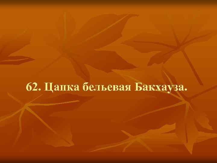 62. Цапка бельевая Бакхауза. 