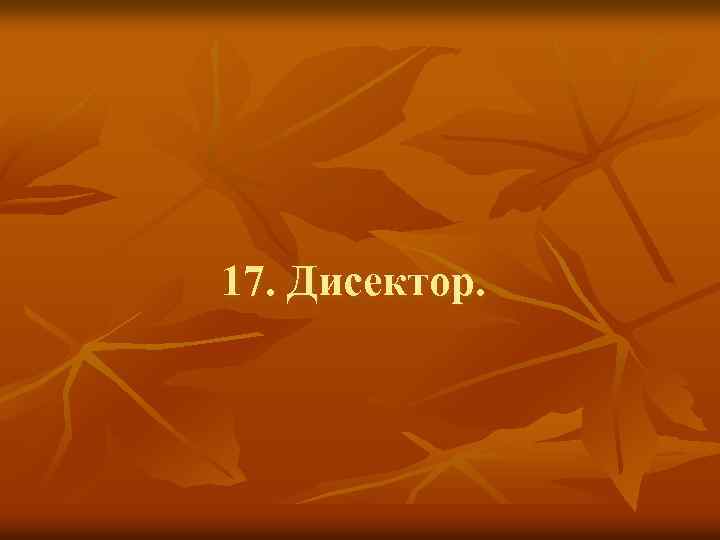 17. Дисектор. 