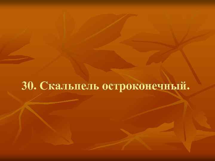 30. Скальпель остроконечный. 