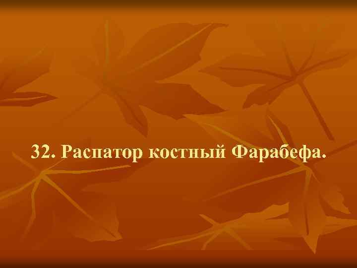 32. Распатор костный Фарабефа. 