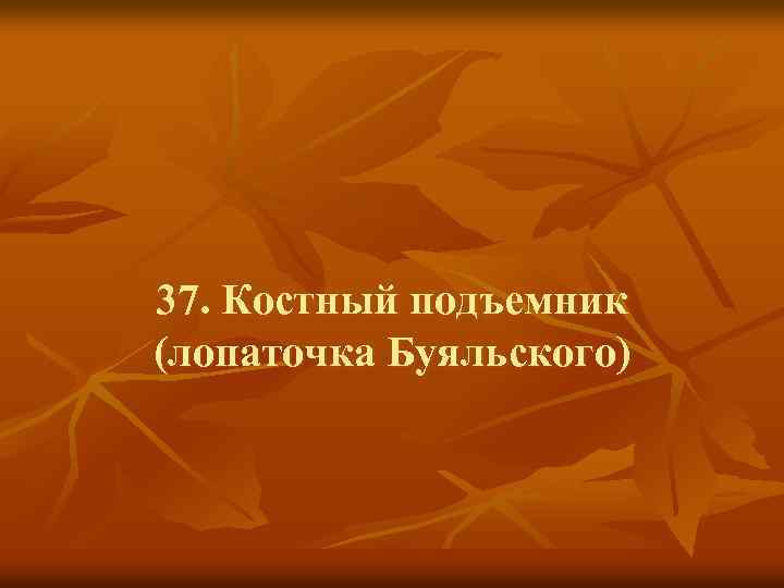 37. Костный подъемник (лопаточка Буяльского) 