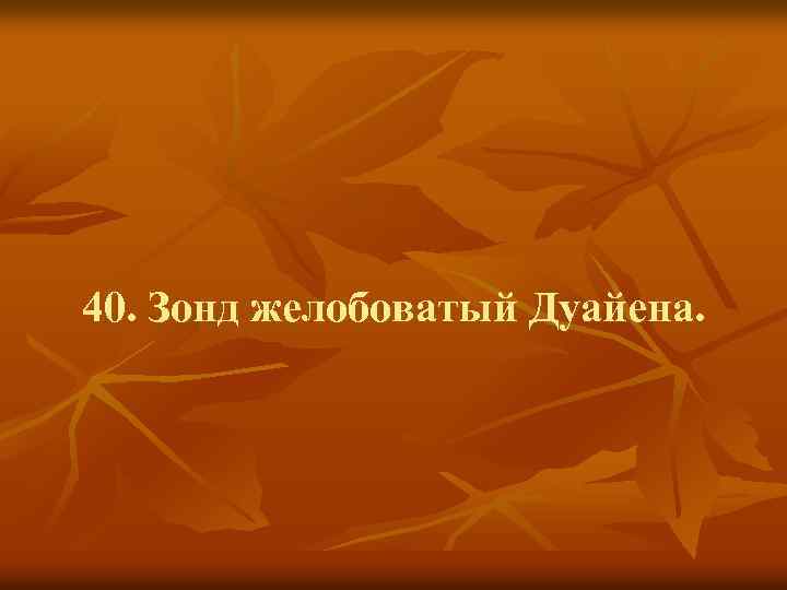 40. Зонд желобоватый Дуайена. 