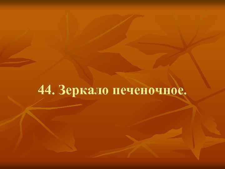 44. Зеркало печеночное. 