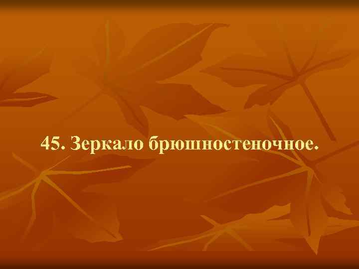 45. Зеркало брюшностеночное. 