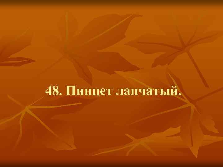 48. Пинцет лапчатый. 