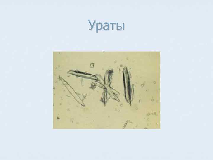 Ураты 