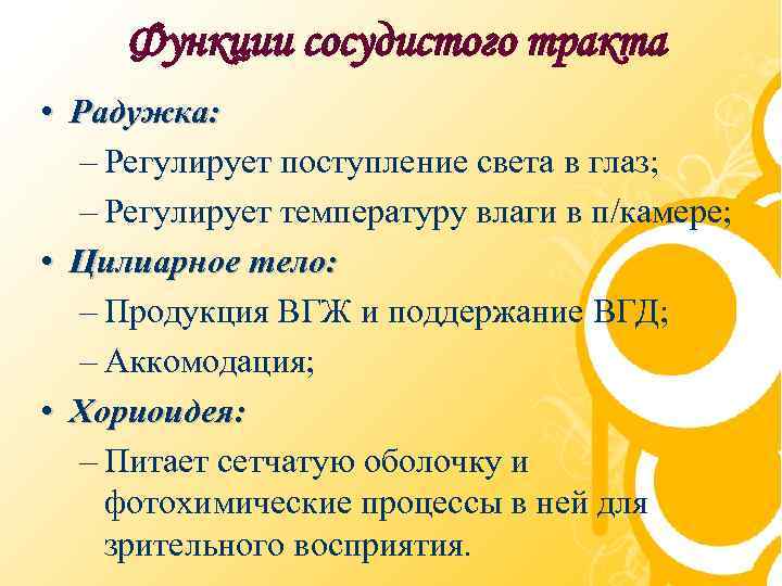 Функции сосудистого тракта • Радужка: – Регулирует поступление света в глаз; – Регулирует температуру