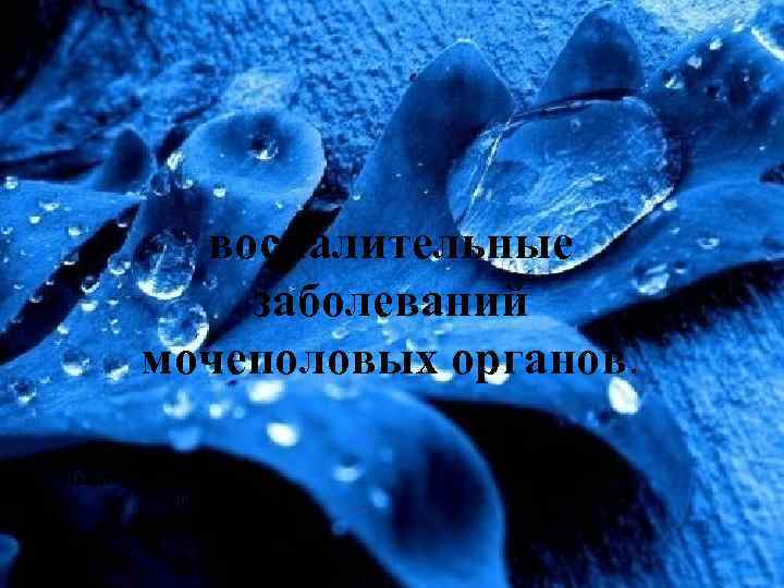 воспалительные заболеваний мочеполовых органов. Выполнила студентка 508 группы Зиновьева Елена 