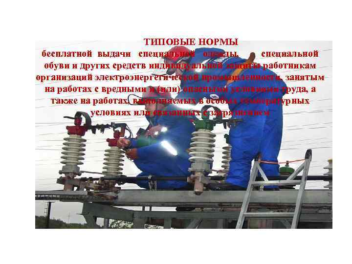 ТИПОВЫЕ НОРМЫ бесплатной выдачи специальной одежды, специальной обуви и других средств индивидуальной защиты работникам